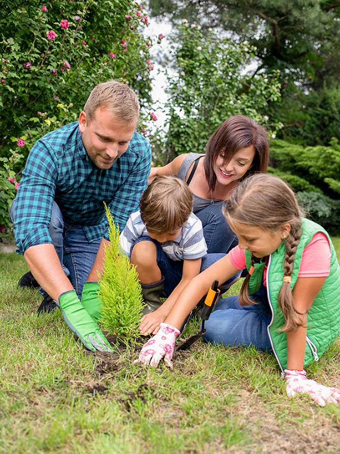 cheerful-family-planting-tree-together-in-their-ba-2022-09-27-00-43-42-utc-1.jpg